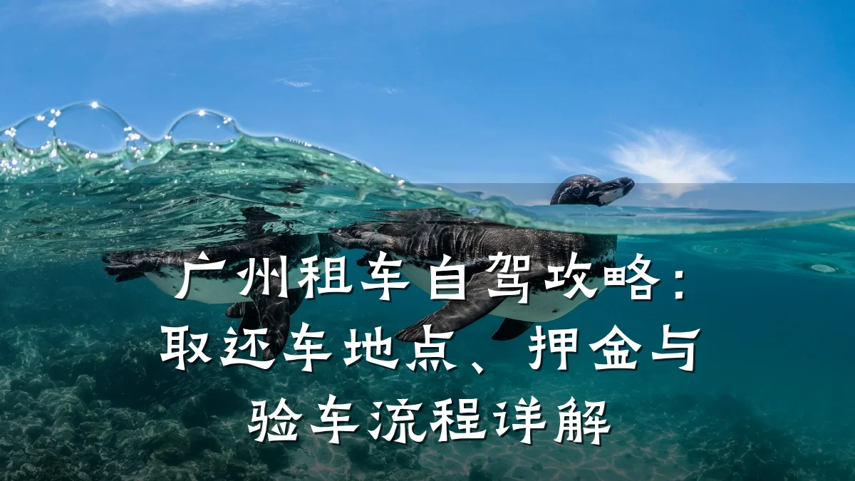 广州租车自驾攻略:取还车地点、押金与验车流程详解