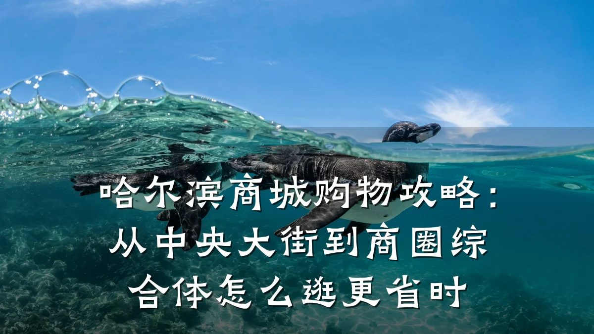 哈尔滨商城购物攻略:从中央大街到商圈综合体怎么逛更省时