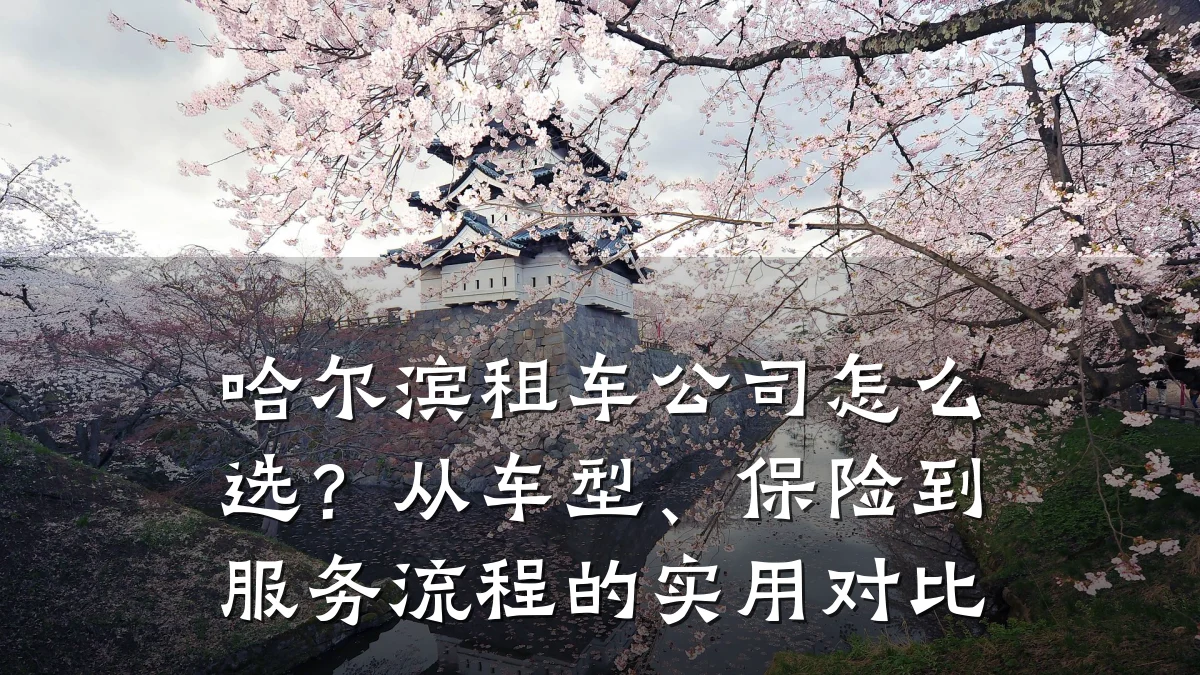 哈尔滨租车公司怎么选？从车型、保险到服务流程的实用对比