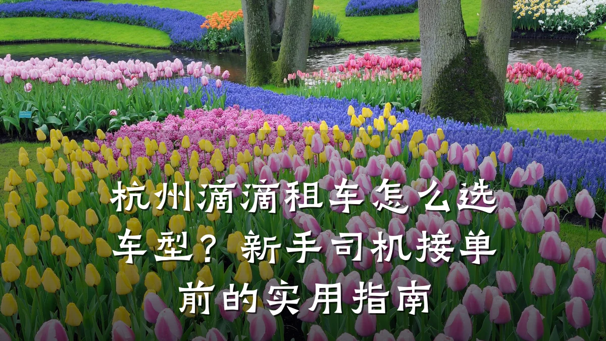 杭州滴滴租车怎么选车型？新手司机接单前的实用指南
