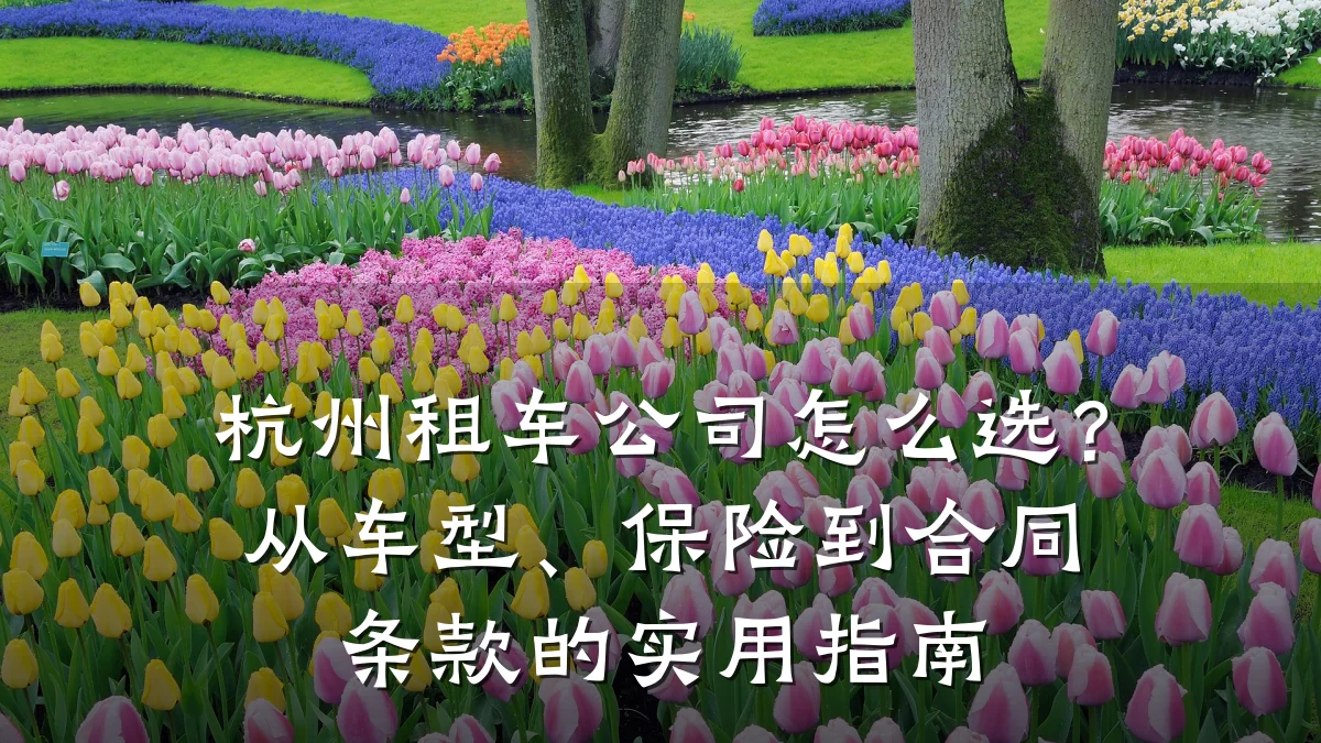 杭州租车公司怎么选?从车型、保险到合同条款的实用指南