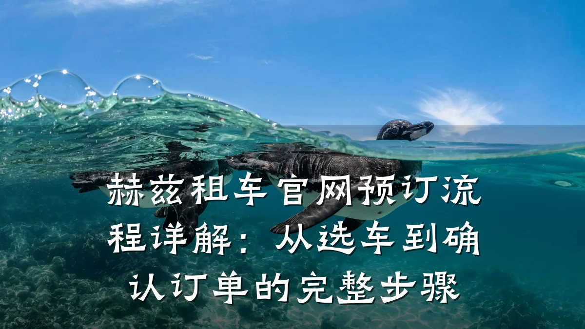 赫兹租车官网预订流程详解：从选车到确认订单的完整步骤
