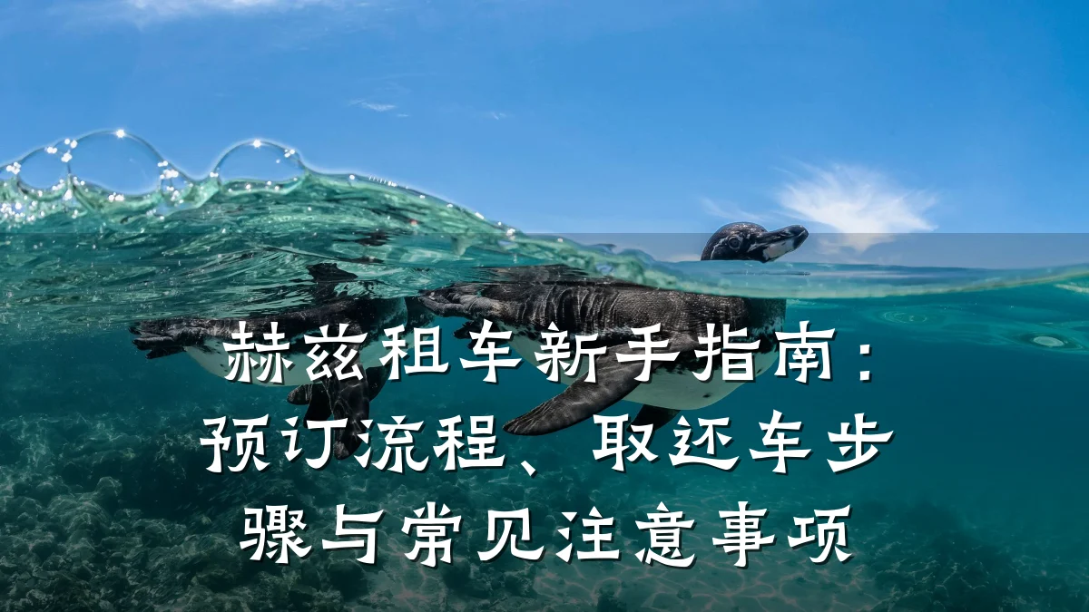 赫兹租车新手指南：预订流程、取还车步骤与常见注意事项