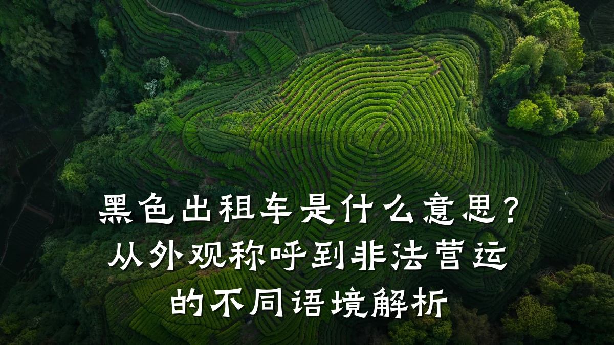 黑色出租车是什么意思？从外观称呼到非法营运的不同语境解析