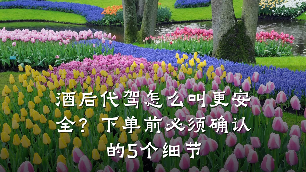 酒后代驾怎么叫更安全?下单前必须确认的5个细节