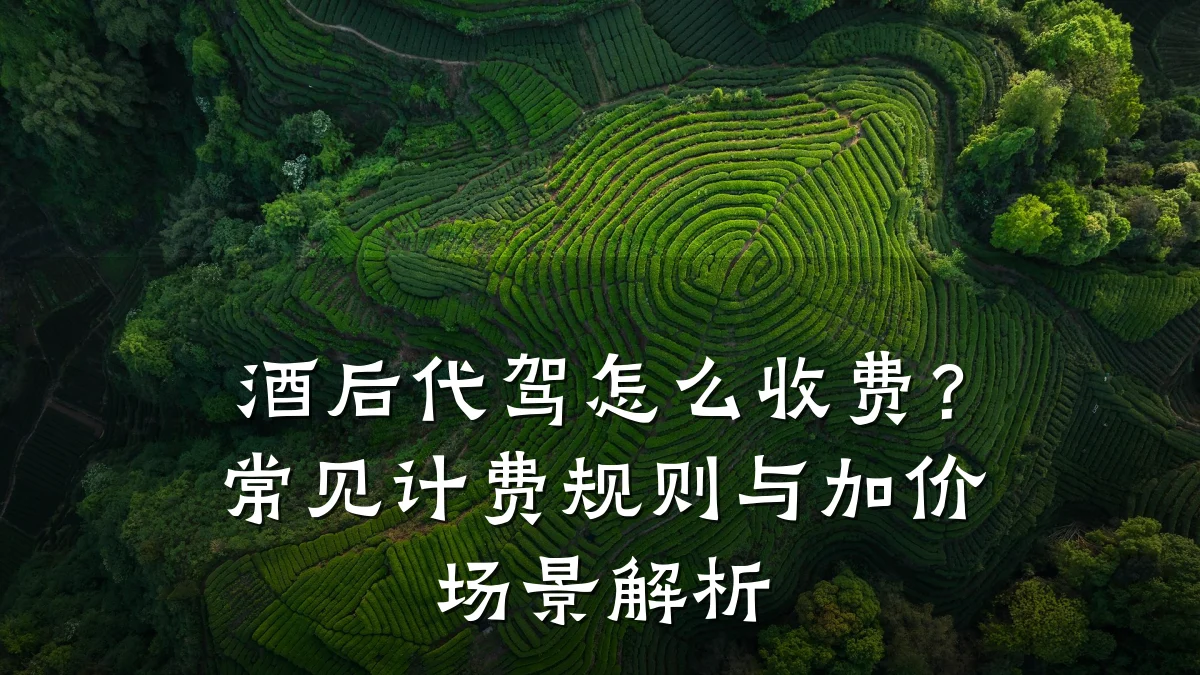 酒后代驾怎么收费？常见计费规则与加价场景解析