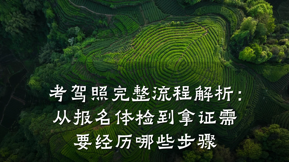 考驾照完整流程解析:从报名体检到拿证需要经历哪些步骤