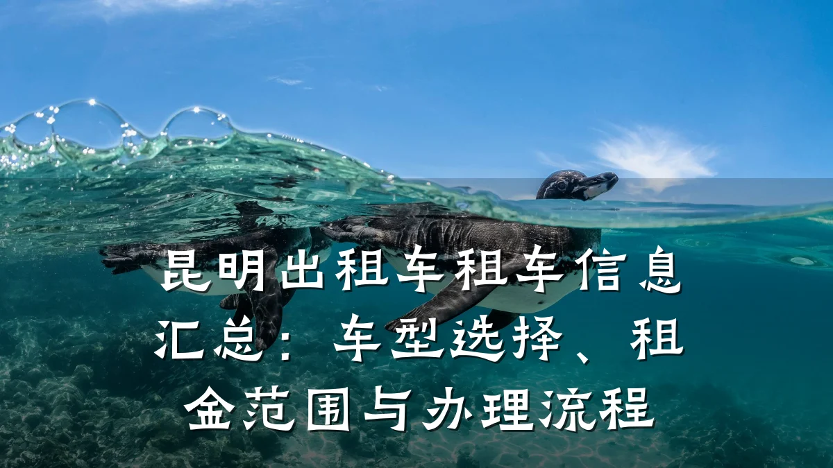 昆明出租车租车信息汇总：车型选择、租金范围与办理流程