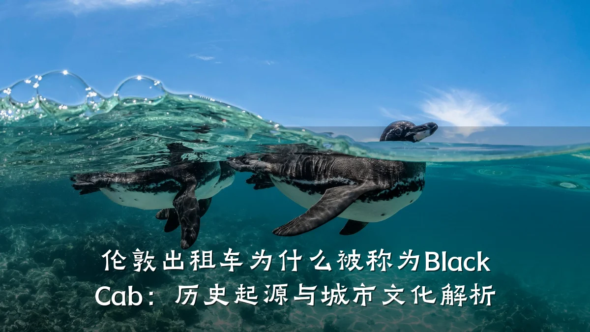 伦敦出租车为什么被称为Black Cab：历史起源与城市文化解析
