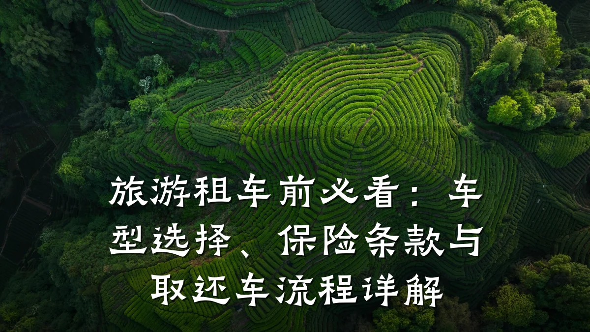 旅游租车前必看：车型选择、保险条款与取还车流程详解