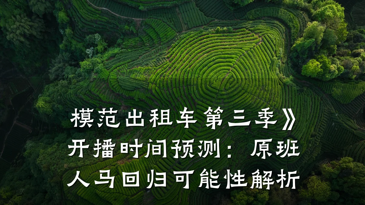 模范出租车第三季》开播时间预测：原班人马回归可能性解析