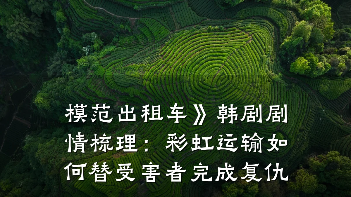 模范出租车》韩剧剧情梳理：彩虹运输如何替受害者完成复仇