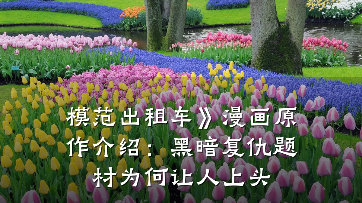 模范出租车》漫画原作介绍：黑暗复仇题材为何让人上头