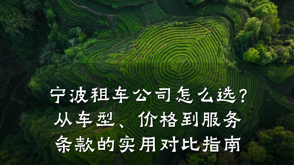 宁波租车公司怎么选?从车型、价格到服务条款的实用对比指南