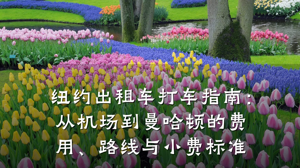 纽约出租车打车指南：从机场到曼哈顿的费用、路线与小费标准