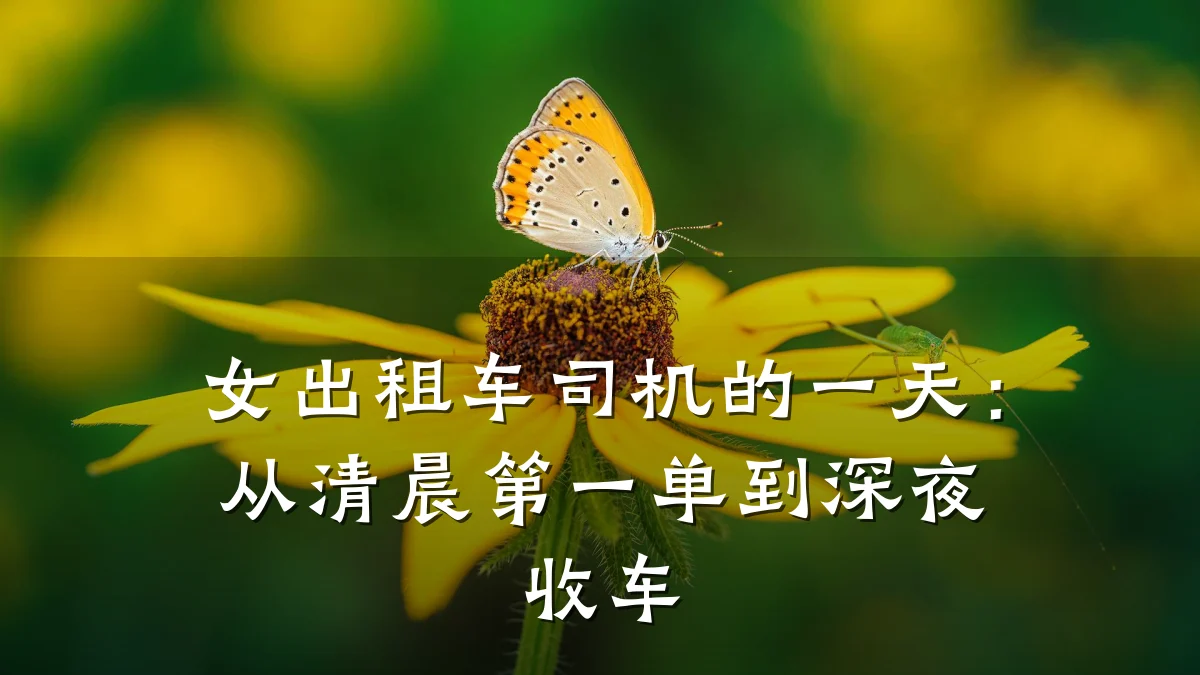 女出租车司机的一天:从清晨第一单到深夜收车