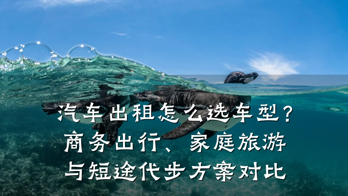 汽车出租怎么选车型？商务出行、家庭旅游与短途代步方案对比