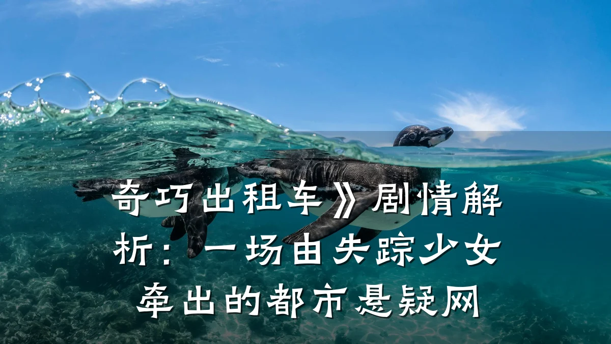 奇巧出租车》剧情解析：一场由失踪少女牵出的都市悬疑网