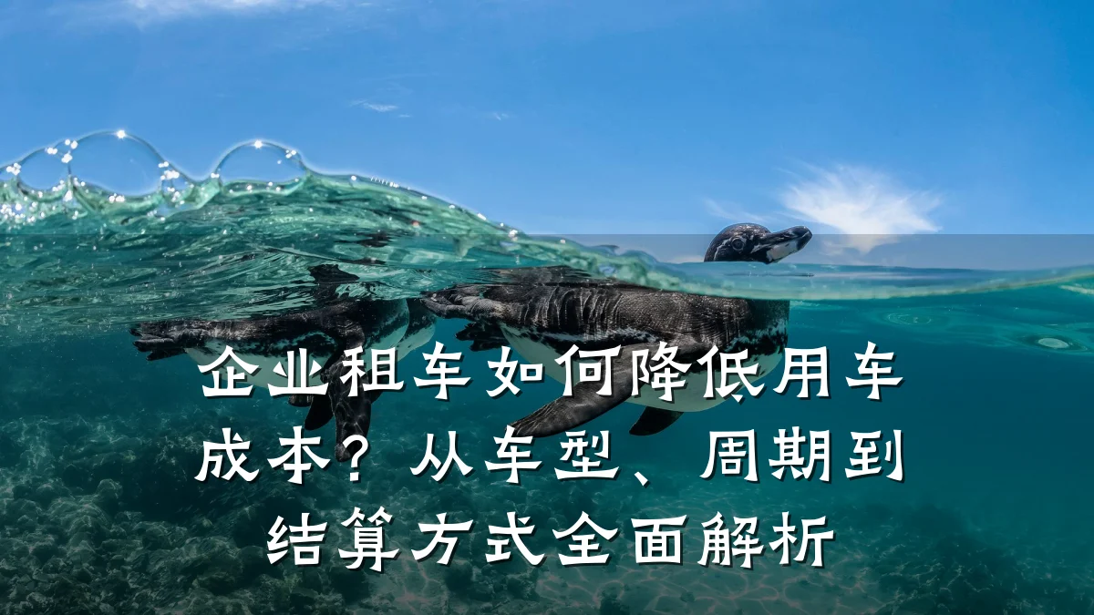 企业租车如何降低用车成本？从车型、周期到结算方式全面解析