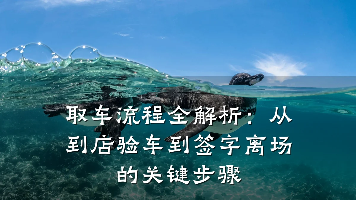 取车流程全解析:从到店验车到签字离场的关键步骤