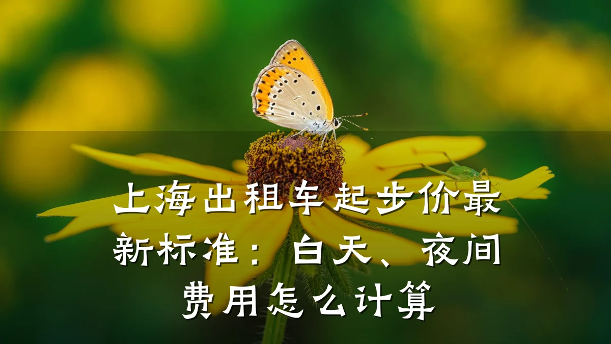 上海出租车起步价最新标准:白天、夜间费用怎么计算