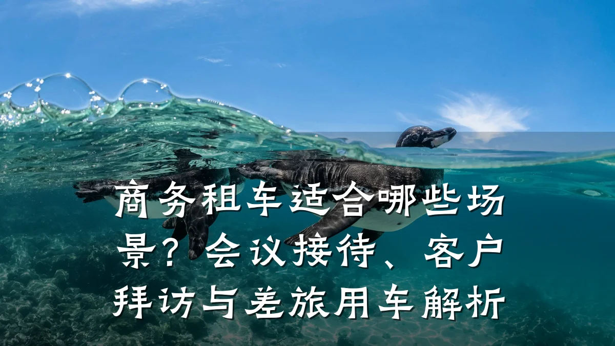 商务租车适合哪些场景？会议接待、客户拜访与差旅用车解析