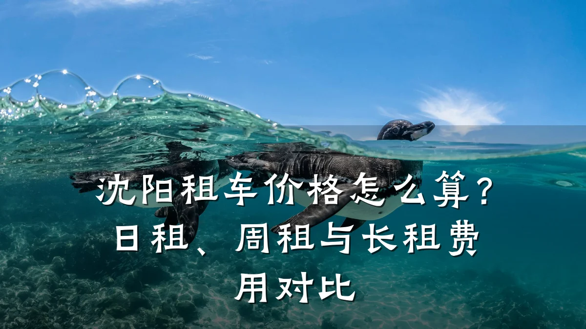 沈阳租车价格怎么算?日租、周租与长租费用对比