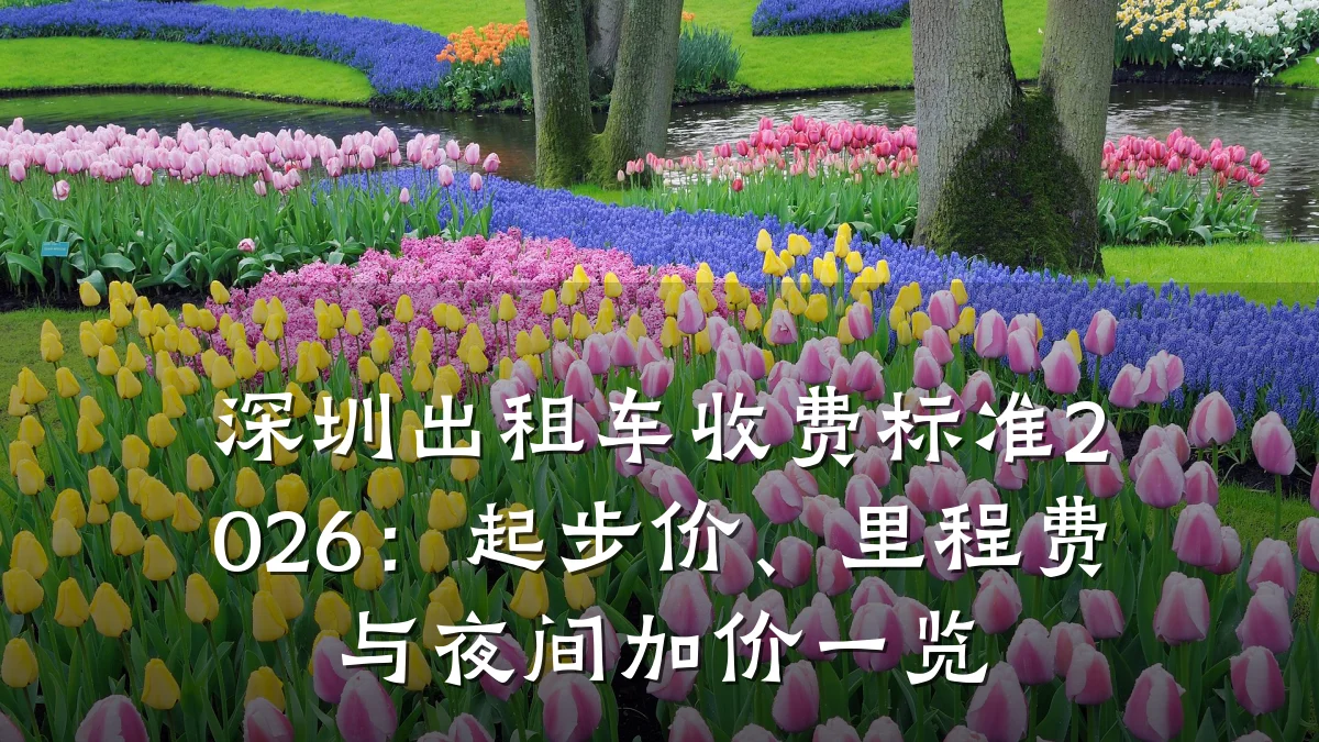 深圳出租车收费标准2026:起步价、里程费与夜间加价一览