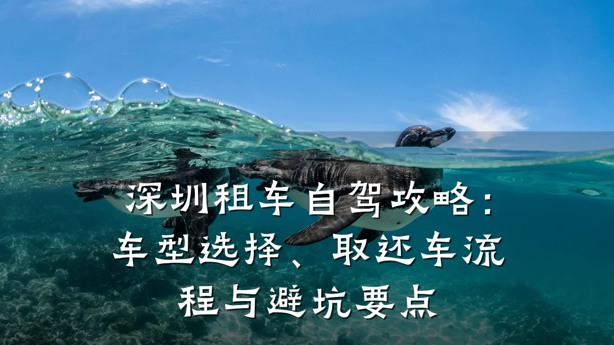 深圳租车自驾攻略:车型选择、取还车流程与避坑要点