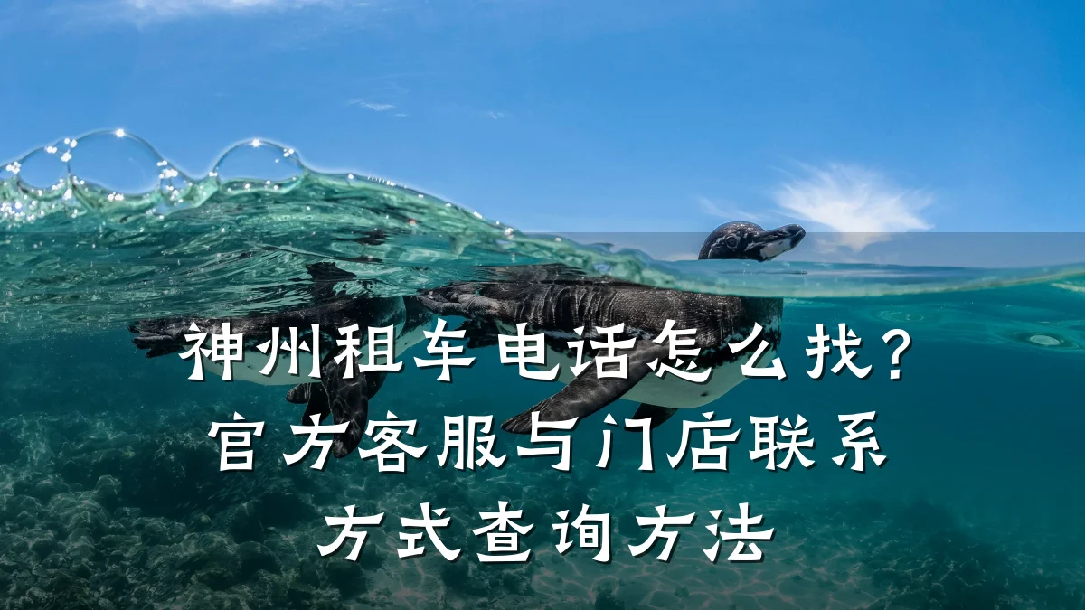 神州租车电话怎么找？官方客服与门店联系方式查询方法