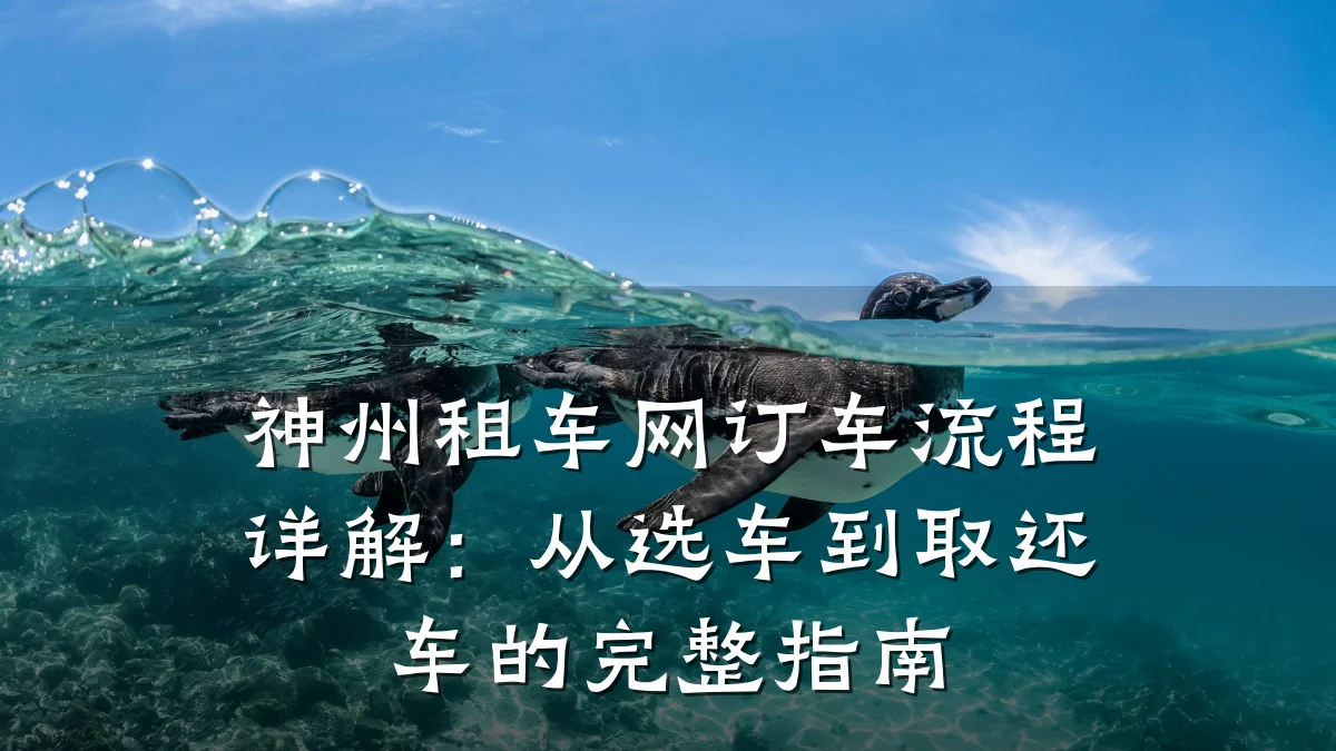神州租车网订车流程详解：从选车到取还车的完整指南