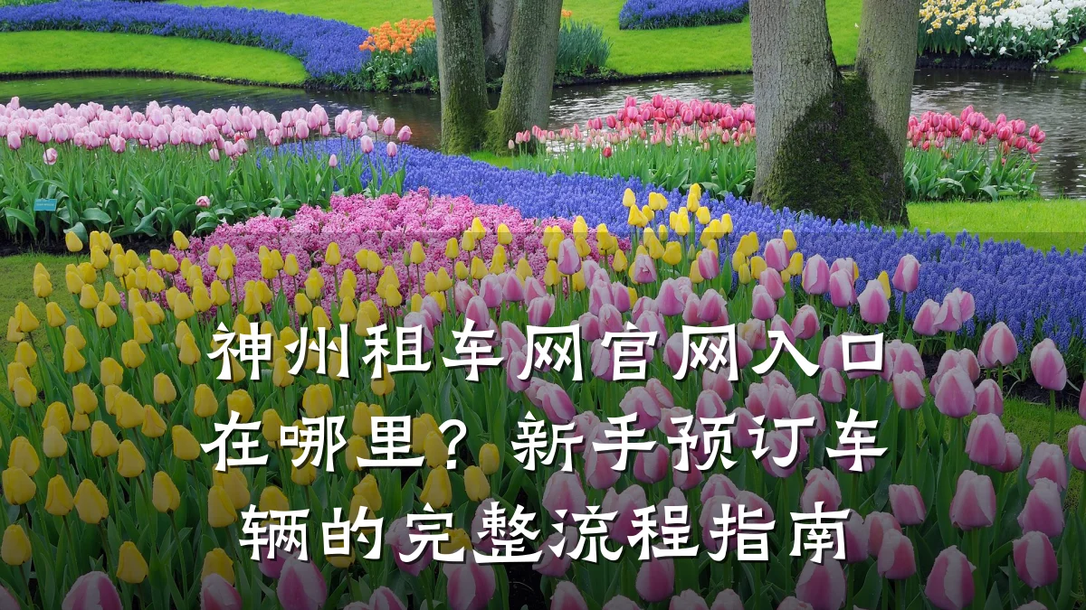 神州租车网官网入口在哪里?新手预订车辆的完整流程指南