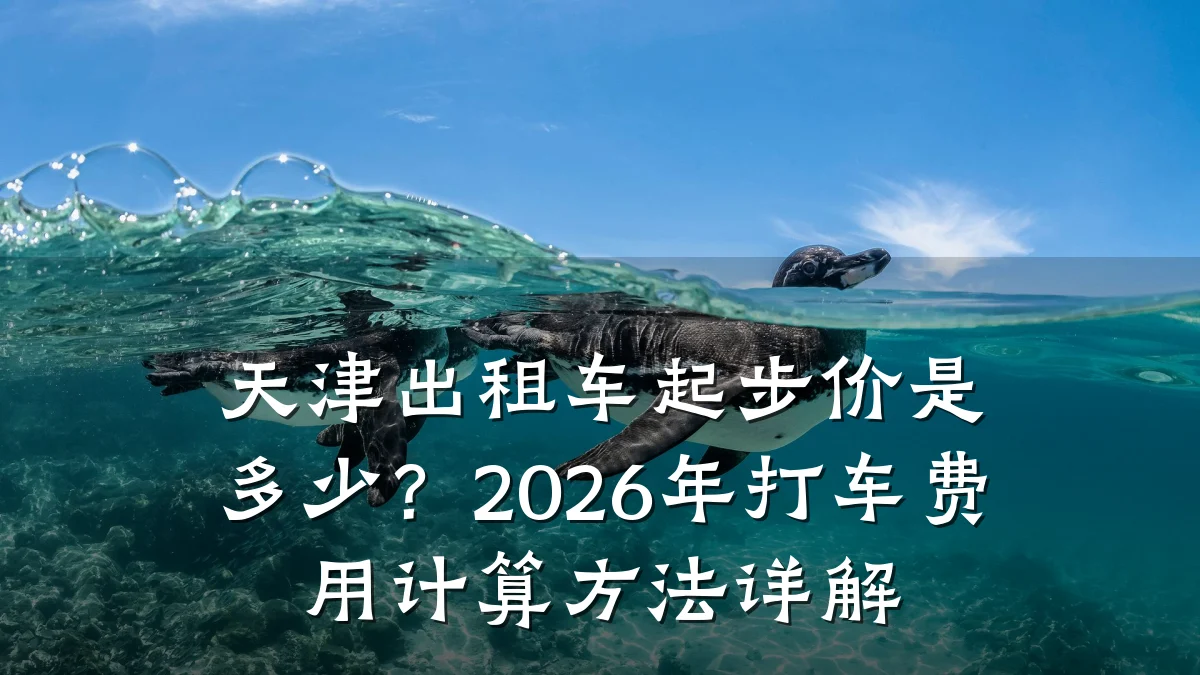 天津出租车起步价是多少?2026年打车费用计算方法详解