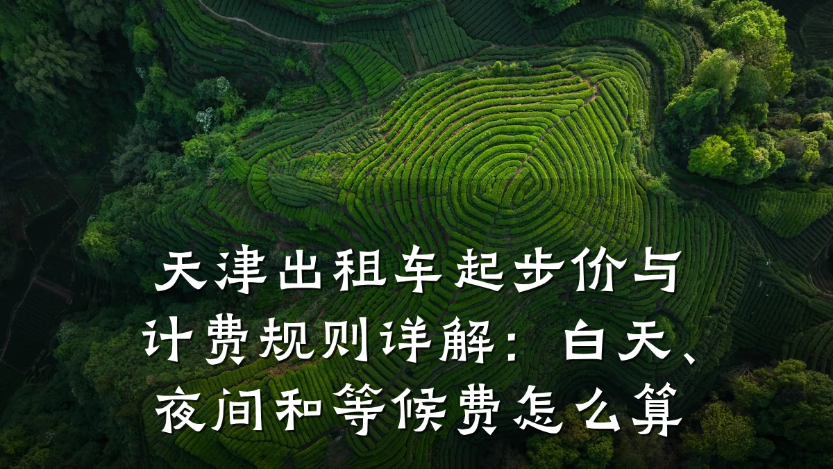 天津出租车起步价与计费规则详解：白天、夜间和等候费怎么算