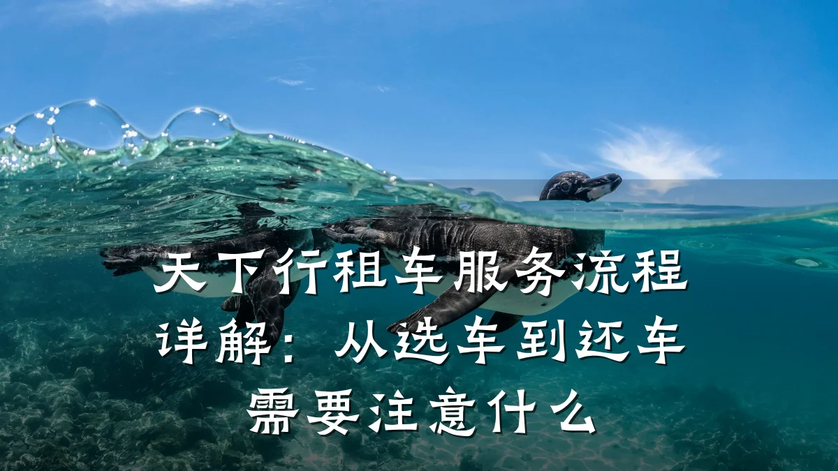 天下行租车服务流程详解：从选车到还车需要注意什么