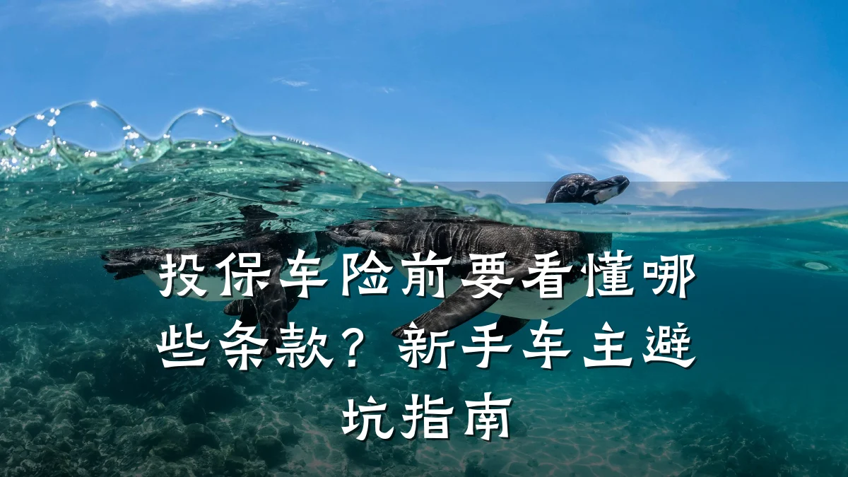 投保车险前要看懂哪些条款?新手车主避坑指南