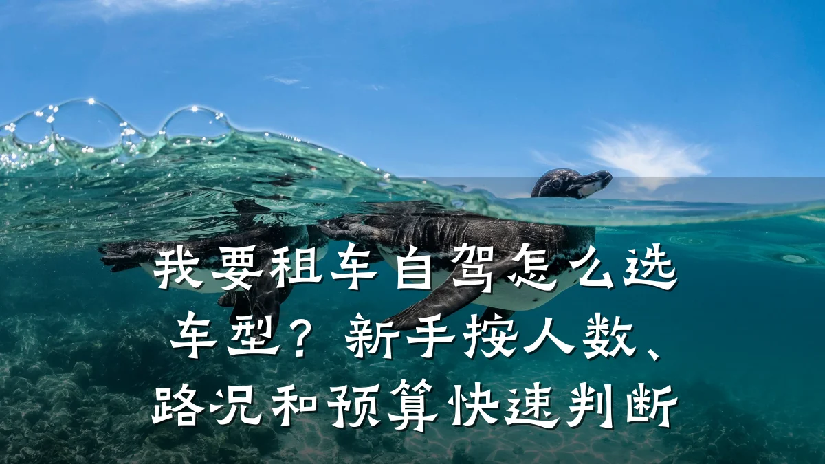 我要租车自驾怎么选车型？新手按人数、路况和预算快速判断