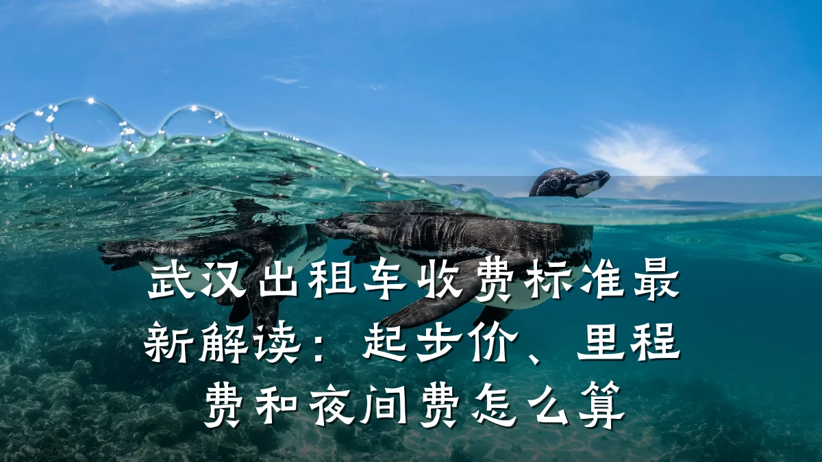 武汉出租车收费标准最新解读:起步价、里程费和夜间费怎么算