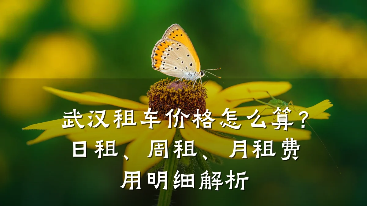 武汉租车价格怎么算?日租、周租、月租费用明细解析