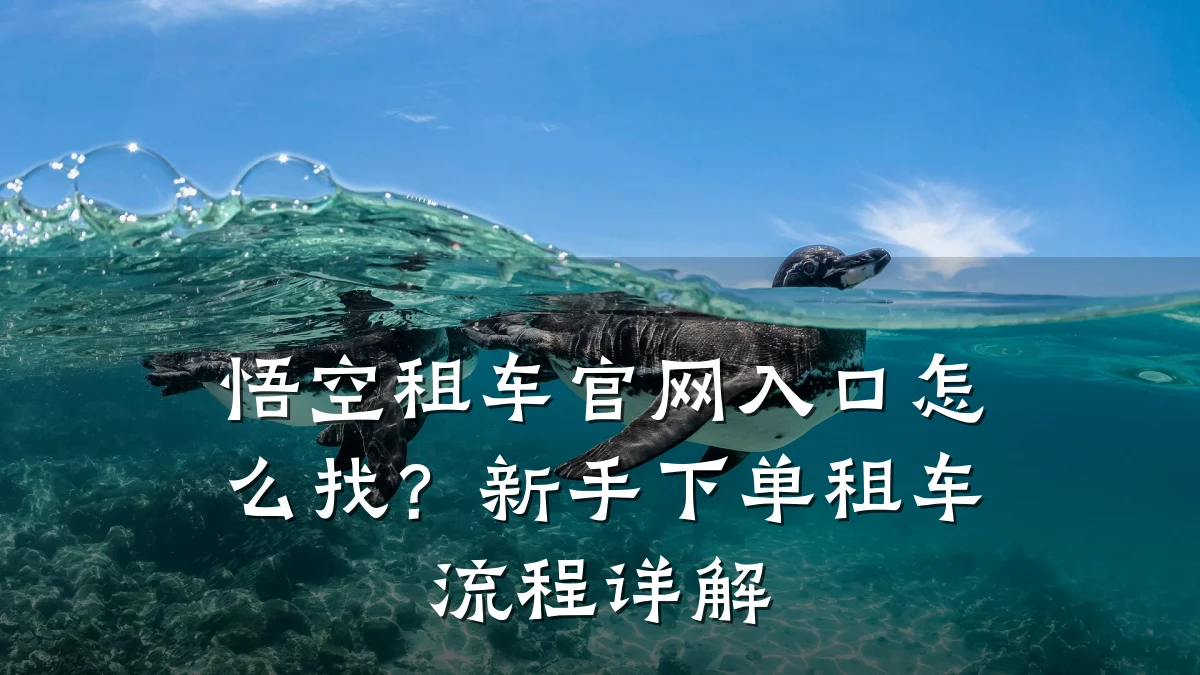 悟空租车官网入口怎么找?新手下单租车流程详解