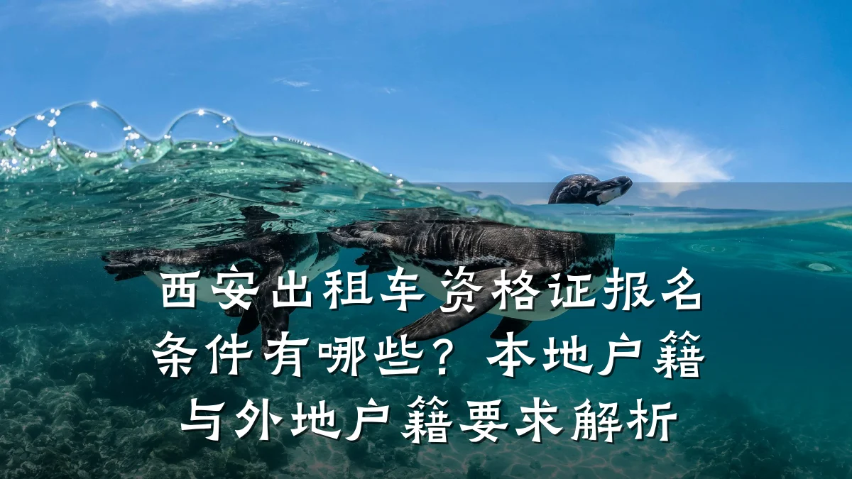 西安出租车资格证报名条件有哪些?本地户籍与外地户籍要求解析