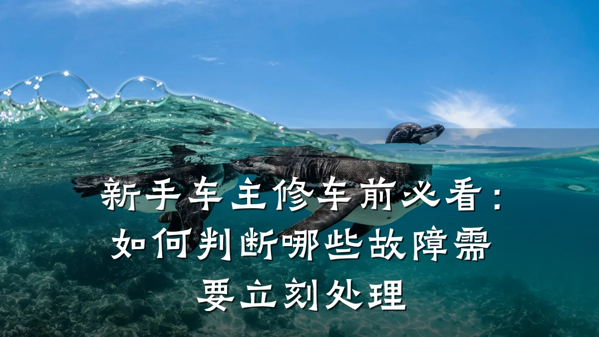 新手车主修车前必看:如何判断哪些故障需要立刻处理