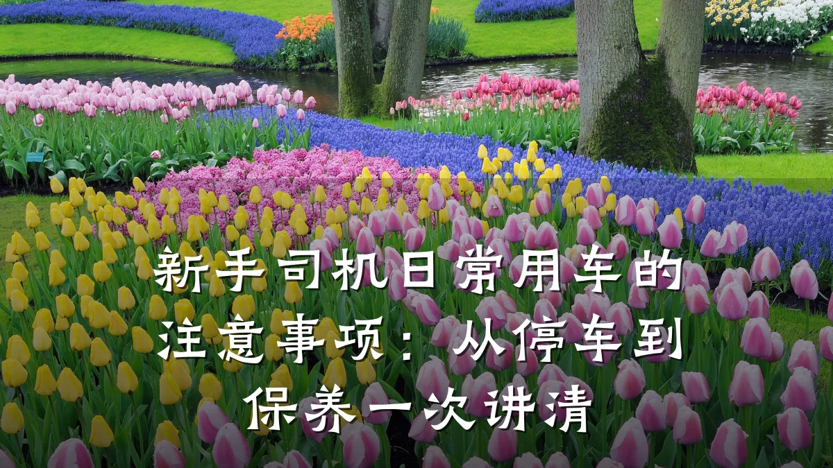 新手司机日常用车的注意事项:从停车到保养一次讲清