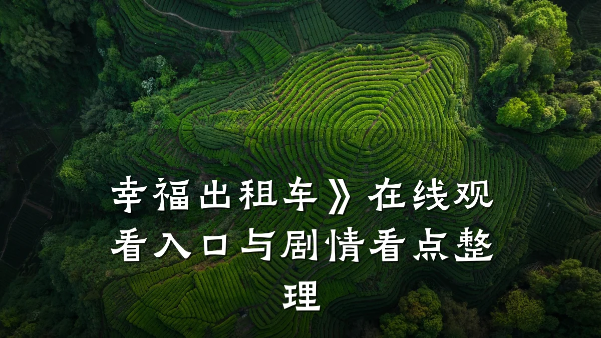 幸福出租车》在线观看入口与剧情看点整理