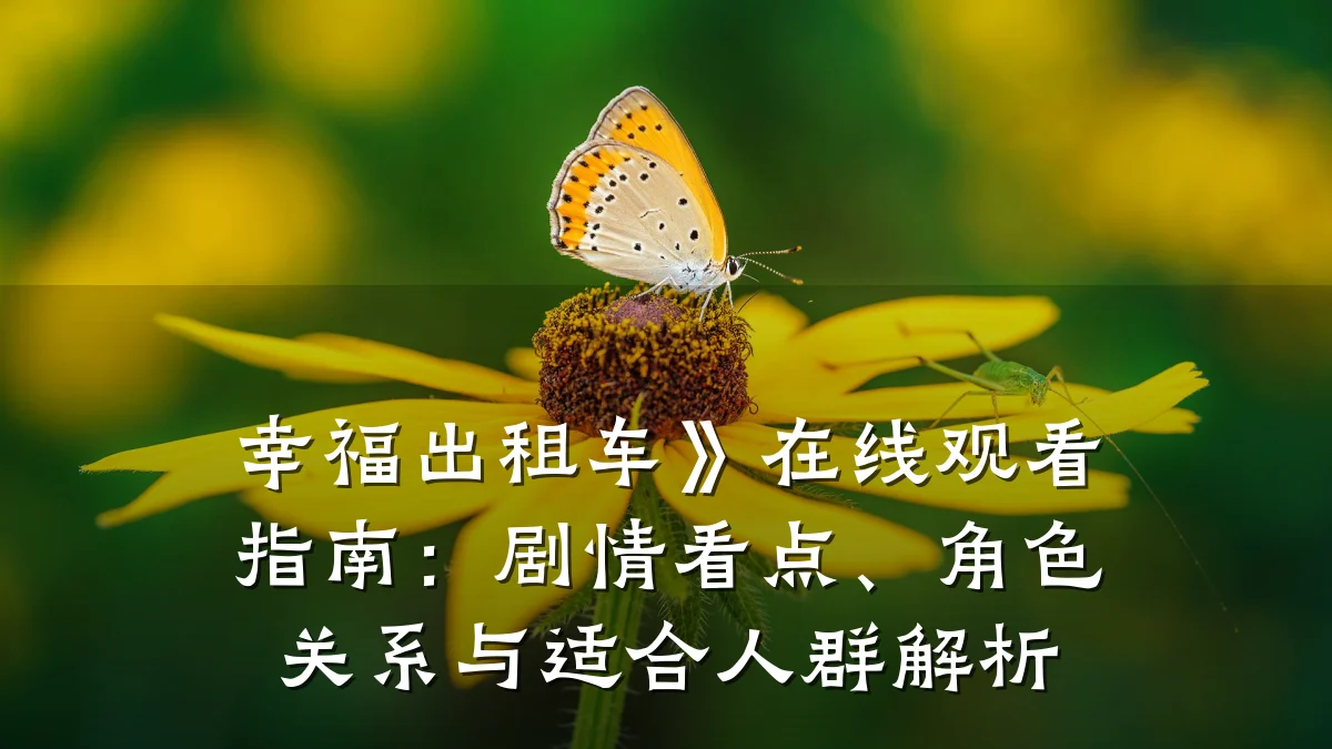 幸福出租车》在线观看指南:剧情看点、角色关系与适合人群解析