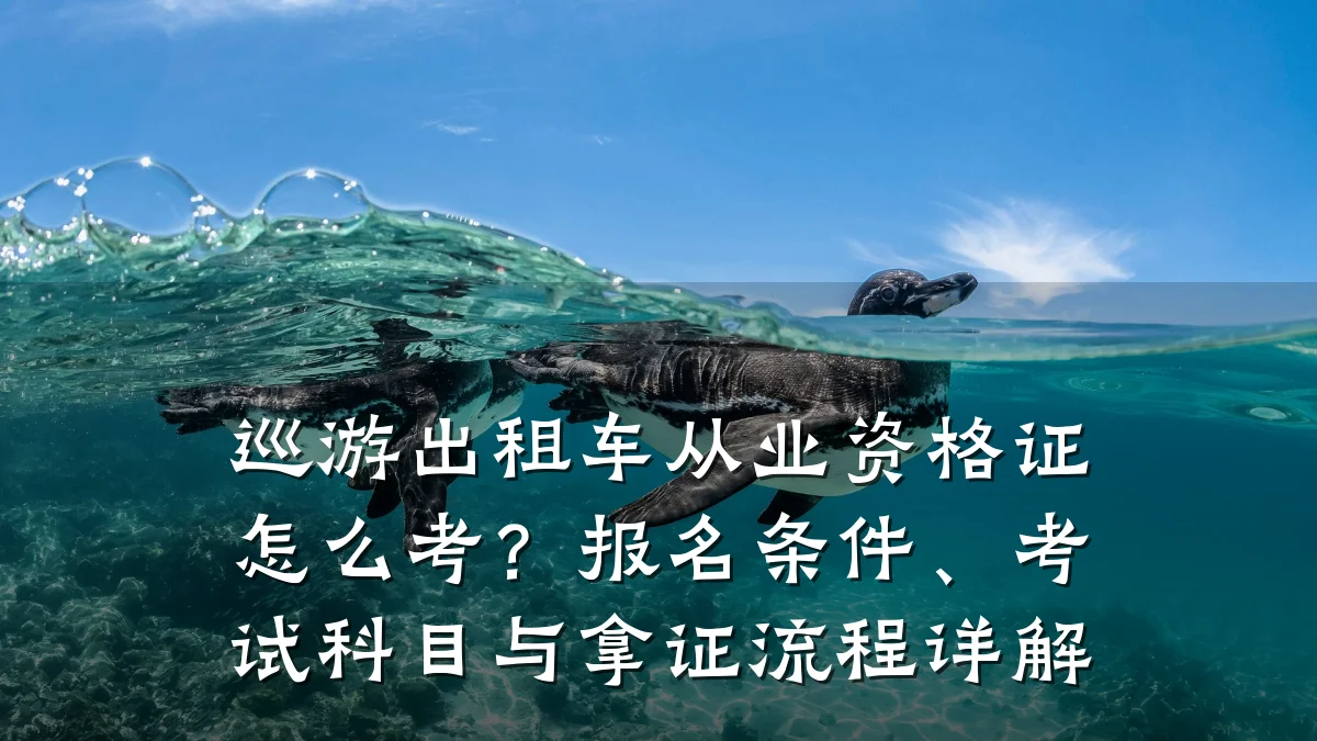 巡游出租车从业资格证怎么考？报名条件、考试科目与拿证流程详解