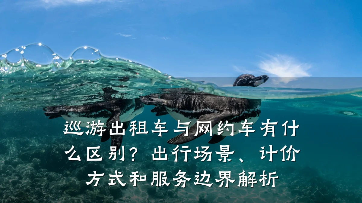 巡游出租车与网约车有什么区别？出行场景、计价方式和服务边界解析