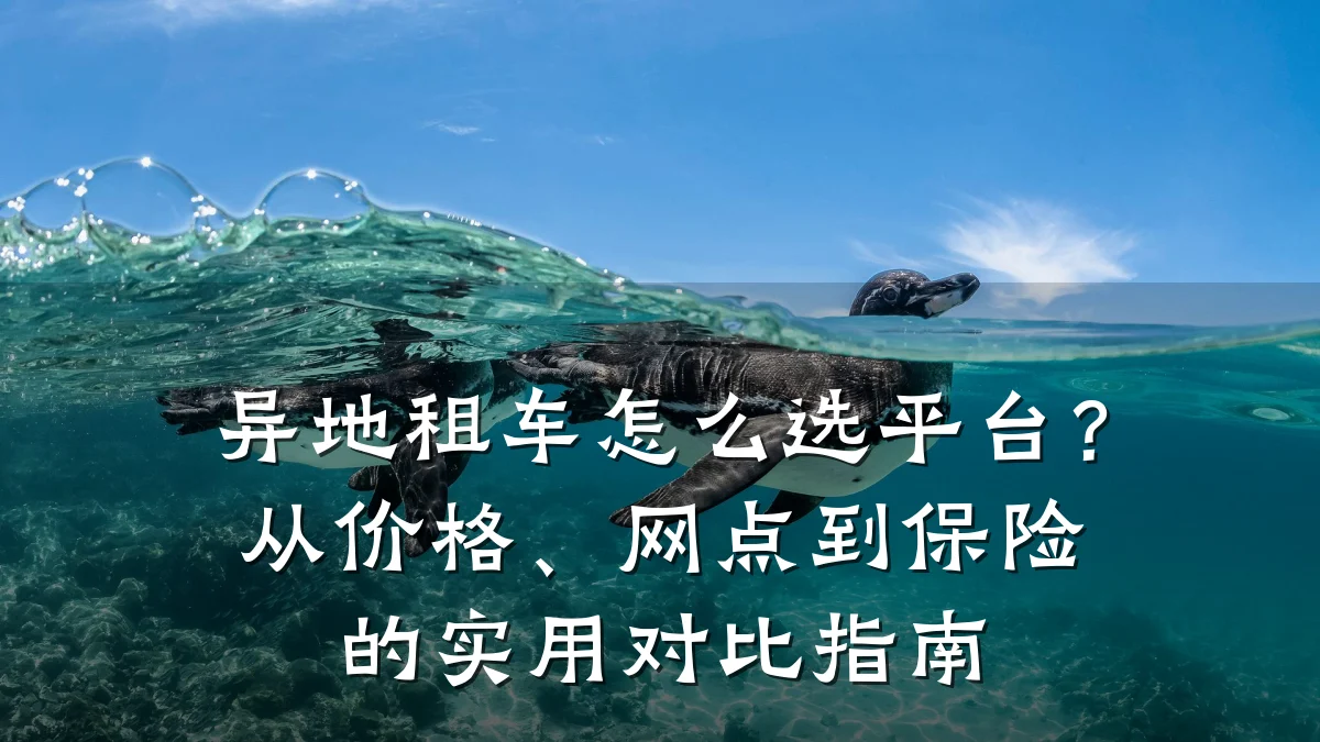 异地租车怎么选平台?从价格、网点到保险的实用对比指南