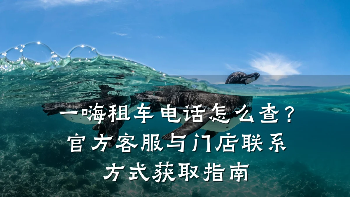 一嗨租车电话怎么查?官方客服与门店联系方式获取指南