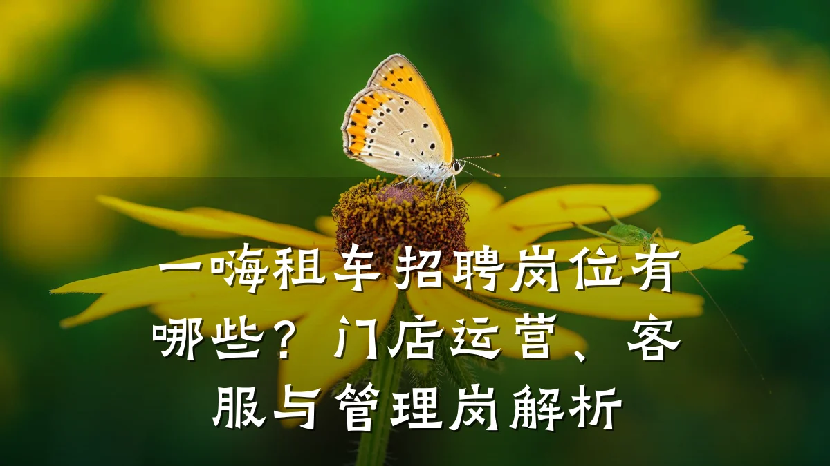 一嗨租车招聘岗位有哪些？门店运营、客服与管理岗解析